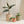 Trio of Planters